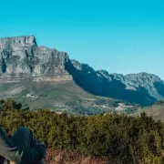 Would Be Traveller Things to do in Cape Town