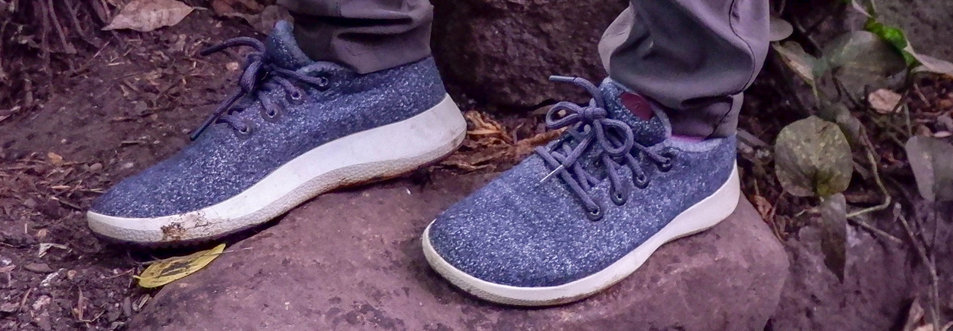 are allbirds shoes waterproof