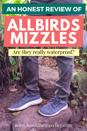 Allbirds Mizzles Review pin