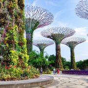 Gardens by the Bay in Singapore, a very humid country