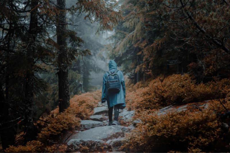 Traveller wearing a rain coat on a forest path