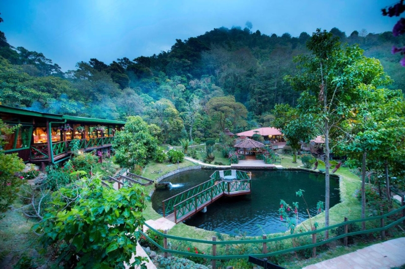 The lodge rooms of Trogon Lodge, surrounding the lake and lush gardens